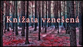 SVATOBOR - Knížata Vznešená (VIDEO S TEXTEM)