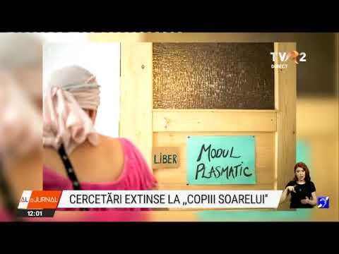 "Gurul" Adi de la Brad, în fața judecătorilor