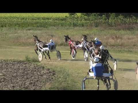 Trka "Mesna zajednica Omoljica" 19.08.2021 Grom I.V. - Miodrag Pantić