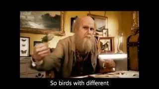 Horrible Histories - Charles Darwin (Natural Selection) w/ lyrics