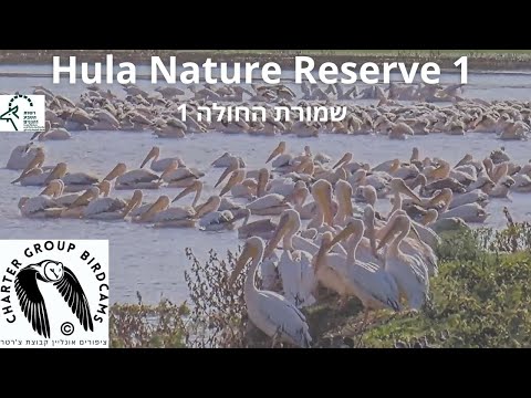 Hula Nature Reserve