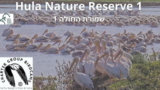 Hula Nature Reserve