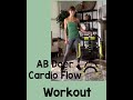 Ab Doer 360 Cardio Core Workout