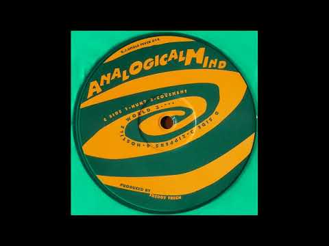 Dj.ungle Fever 014 - Analogical Mind - Freddy Fresh - D3 - ***