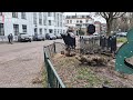 Forse boom sneuvelt in Park Lepelenburg: 'Er had makkelijk iemand onder kunnen komen' [RTV Utrecht]