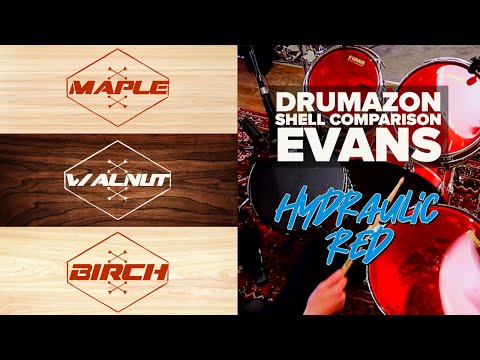 Evans Hydraulic Red Tom / Drum Head Shell Comparison - Maple | Birch | Walnut from Drumazon