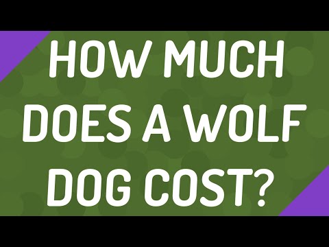 YouTube video about: How much do wolves cost?