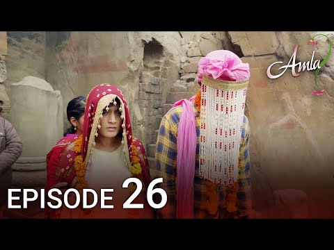Amla Episode 26 | Hindi Drama | Kya Qusoor Hai Amala Ka?