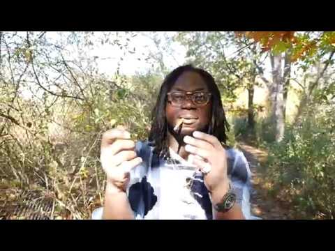 Dav Ye - E B HyGrade (Official Visual)