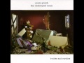 Sonic Youth - Loop Cat 