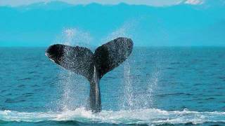 River Of Life (Rebecca St. James)