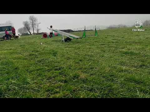 Agility trénink 10.4.2023