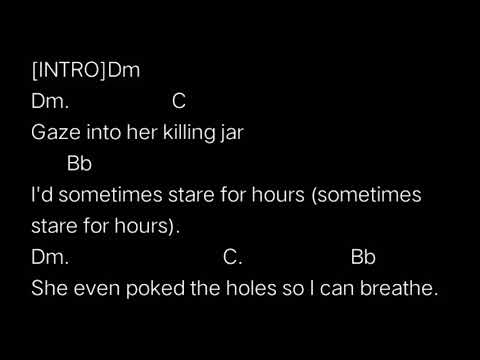 The Jetset Life Is Gonna Kill You - My Chemical…