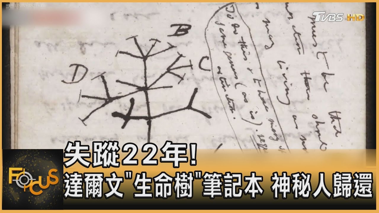 失蹤22年!達爾文「生命樹」筆記本 神秘人歸還