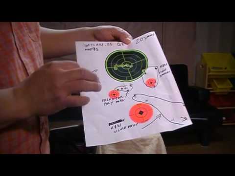 Hatsan Mod 95 .25 cal QE
