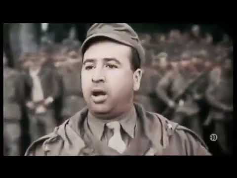 Guerre d'Algérie, la déchirure