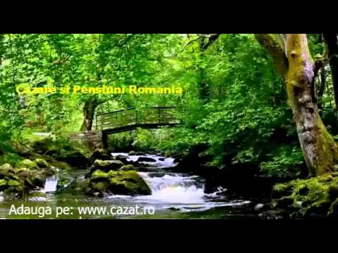 Cazare Mustesti, Arad - Cazat.ro