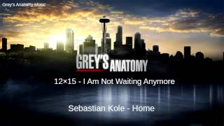 Grey&#39;s Anatomy Season 12 Episode 15: Sebastian Kole - Home