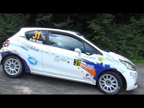 Davide Craviotto Stagione Rally 2017