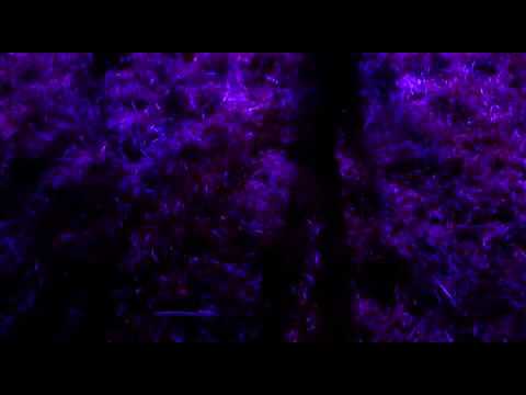 Beathotel "Trouble Road" live from new Album "fast FORWARD"