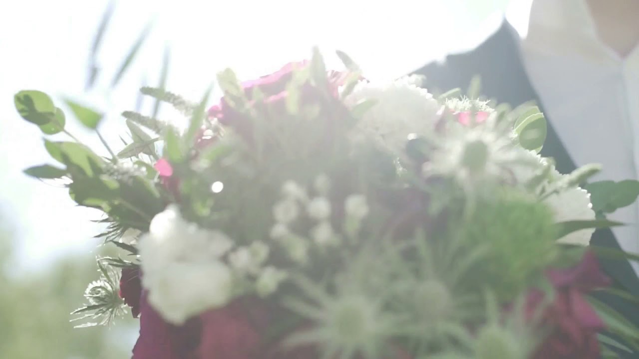 Wow Flowers video