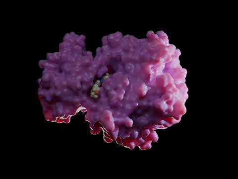Molecular Dynamics Simulation of HPK1 Inhibitor Complex (PDB 9H8D) – Protein-Ligand Interactions