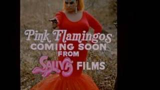 Pink Flamingos (1972) Video