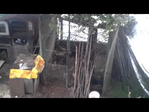 Nevicata a Spresiano