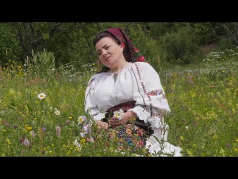 Ana Ilca - Da Doamne vremea inapoi