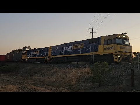 2MA5 PN down "Linfox Express" (NR99, NR17), Melbourne to Adelaide, 2105, 13/1/25, Stawell East VIC