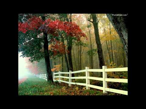 Deep Dive Corp. - Back & Forth