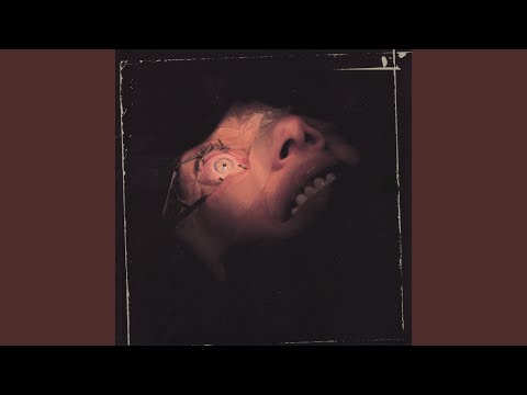 In The Name Of Gore cover