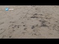 Zwarte korrels op strand Zandvoort door overboord geslagen containers