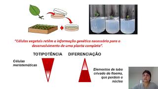 Fisiologia Vegetal - Crescimento e desenvolvimento