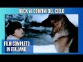 Buck Ai Confini Del Cielo Film Completo In Italiano