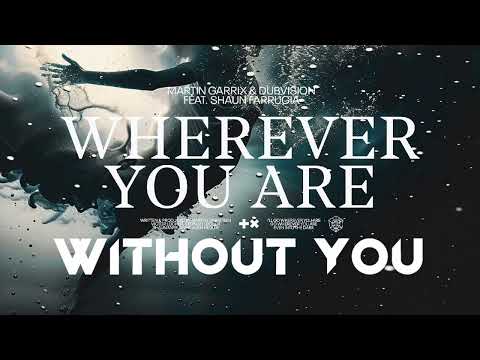 Martin Garrix & DubVision - Wherever You Are vs Avicii - Without You (Quantik Mashup)
