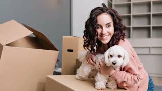 How To Help Your Dog Settle Into A New House?