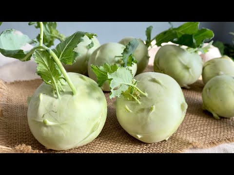 コールラビの保存: 最良のヒント 植物