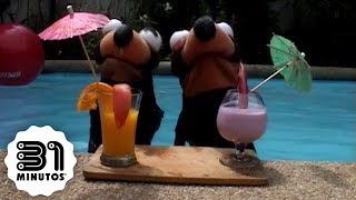 Cover art for Tangananica Tangananá