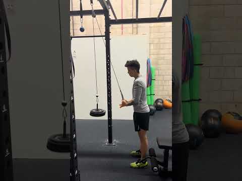 Tricep Cable Pull Downs