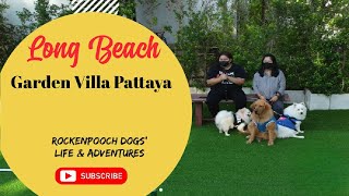 RocKenPooch @ Long Beach Garden Villa Pattaya Pet Playground | Part 2