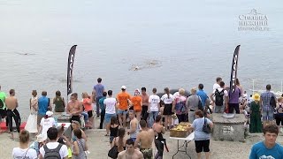 Почти 500 спортсменов переплыли Волгу в Нижнем Новгороде в рамках заплыва «Volga Swim»