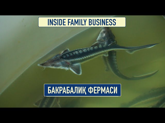 Балиқ хўжалиги: даромад топишнинг самарали йўли