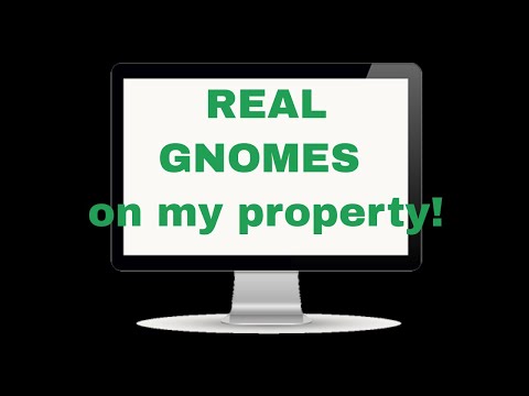 There are real gnomes living on my property!