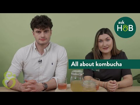 All About Kombucha | Ask H&B | H&B 