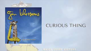 Gin Blossoms - Curious Thing (Official Audio)