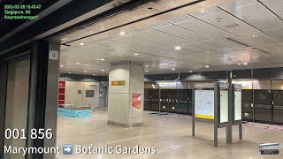⁴ᴷ⁶⁰ [SMRT] Alstom Metropolis C830C [856] CC16 Marymount ➡️ CC19 Botanic Gardens