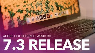 Adobe Lightroom Classic CC 7.3 Updates