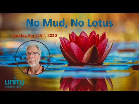 No Mud, No Lotus