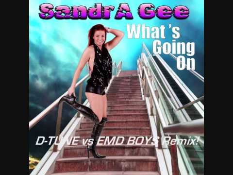 Sandra Gee - What's Going On (D-TUNE vs EMD BOYS Remix)